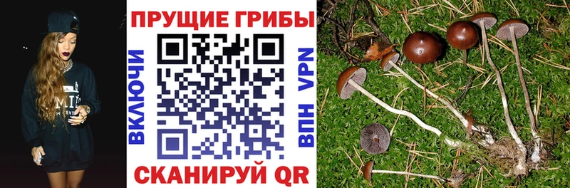 Псилоцибиновые грибы MAGIC MUSHROOMS  Салаир 